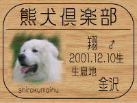 �I�[�i�[�́A�ă}�}����ł���